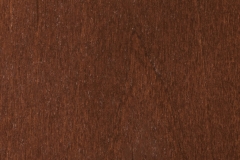 Alder-Saddle