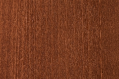 Beech-Auburn