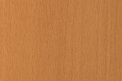 Beech-Blond