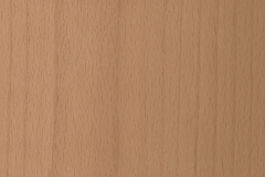 Beech-White Wash