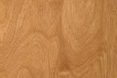 Birch-Blond