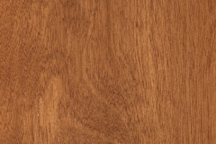 Birch-Sierra 20