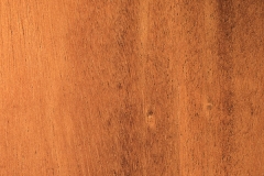 Mahogany-Blond