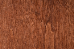 White-Birch-Auburn