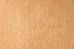 White-Birch-Blond