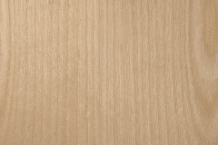 White-Birch-Clear
