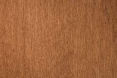 White-Birch-Sierra 20