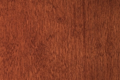 White-Birch-Sierra 40