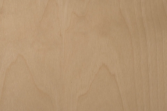 White-Birch-White Wash
